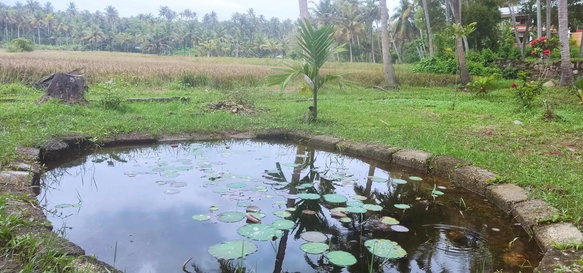 Paddy Farm Beach Resort Odayam Varkala 0*,