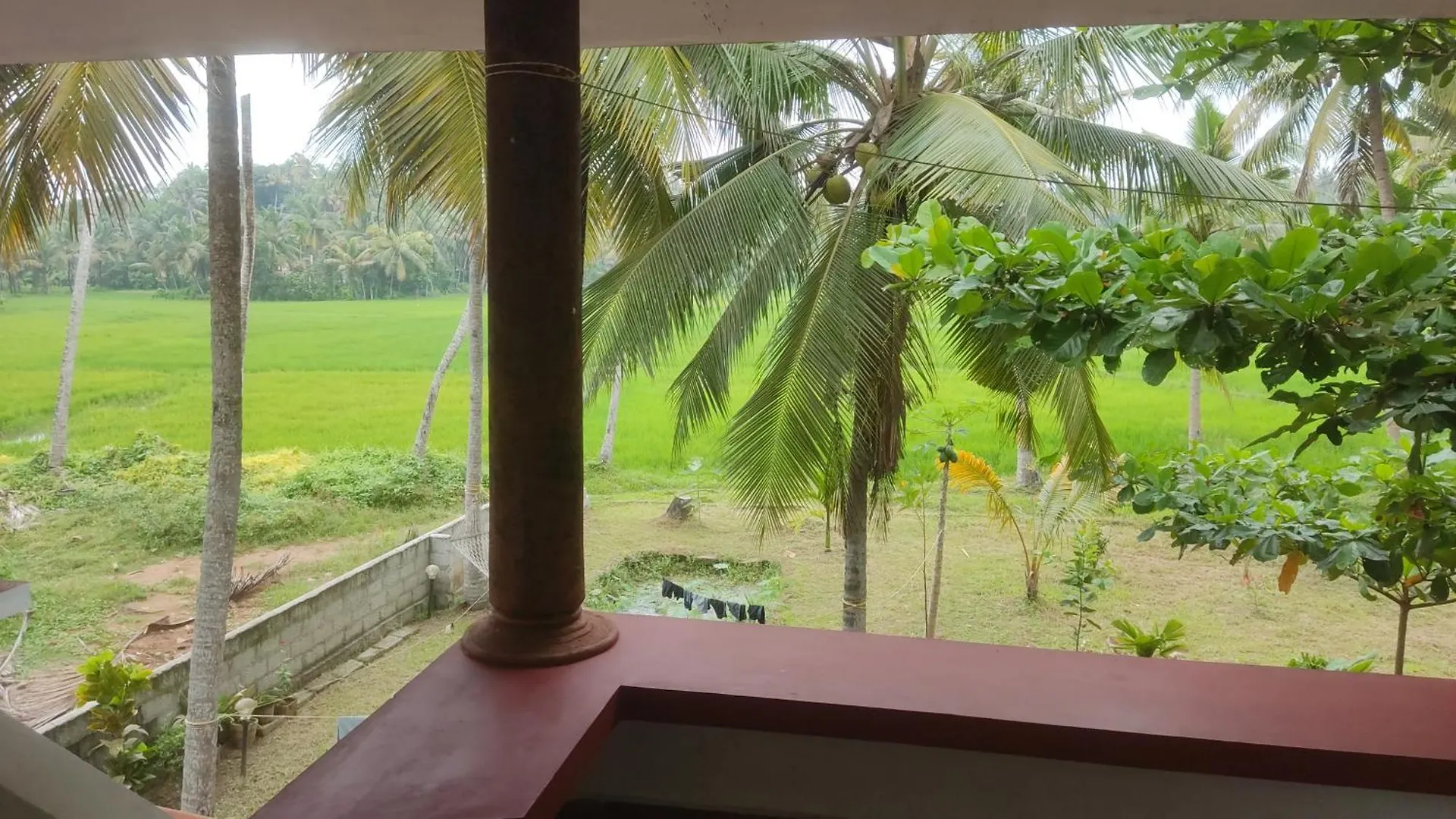Paddy Farm Beach Resort Odayam Varkala 0*,  India