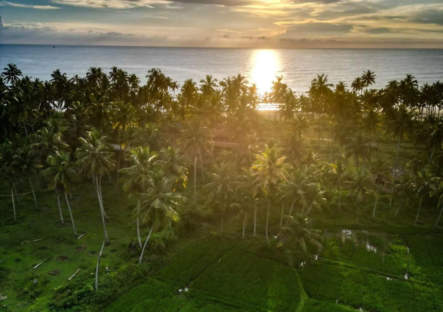 Paddy Farm Beach Resort Odayam Varkala