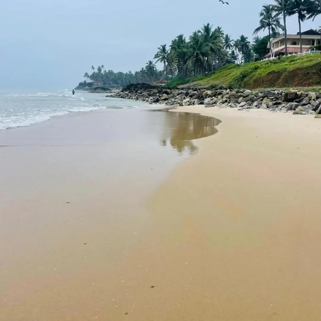 Paddy Farm Beach Resort Odayam Varkala India
