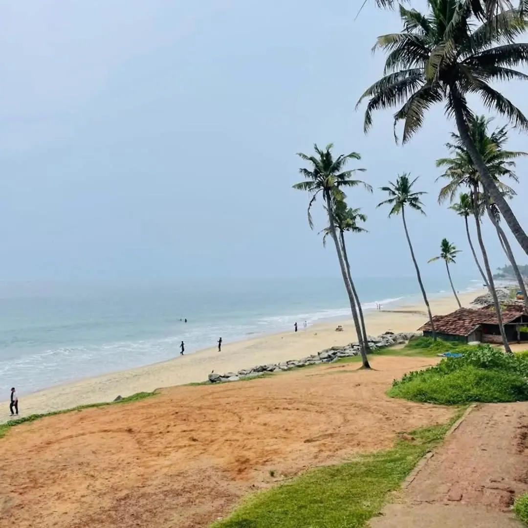 Paddy Farm Beach Resort Odayam Varkala Apartment