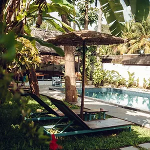 Couette-café Paddlecult Surf Retreat, Varkala